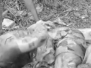 Chhattisgarh Crimes