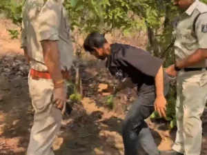 Chhattisgarh Crimes