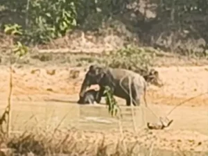 Chhattisgarh Crimes