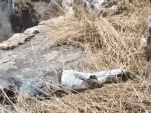 Chhattisgarh Crimes