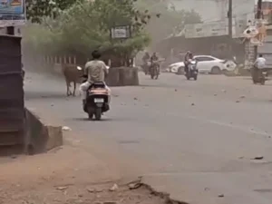 Chhattisgarh Crimes
