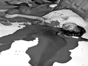 Chhattisgarh Crimes