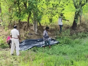 Chhattisgarh Crimes