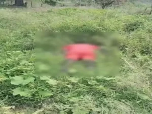 Chhattisgarh Crimes