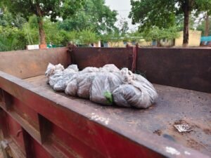Chhattisgarh Crimes