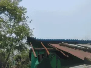Chhattisgarh Crimes