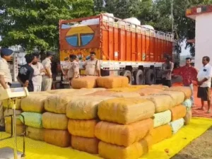 बलरामपुर पुलिस ने छत्तीसगढ़-उत्तरप्रदेश की सीमा पर नशे के खिलाफ अब तक की सबसे बड़ी कार्रवाई हुई Chhattisgarh Crimes