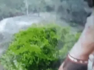 Chhattisgarh Crimes