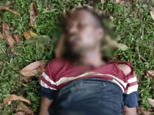 Chhattisgarh Crimes