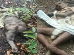 छत्तीसगढ़ में पिछले 30 घंटे के भीतर हाथी के हमले में 4 लोगों की मौत Chhattisgarh Crimes