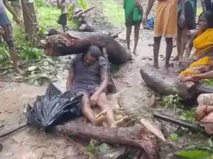 बीजापुर जिले के गंगालूर तहसील अंतर्गत ग्राम जरगोया में बुधवार सुबह खेत में जुताई कर रहे एक किसान की सूखे पेड़ की चपेट में आने से मौत Chhattisgarh Crimes