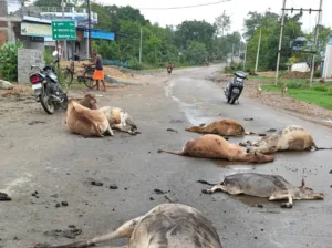 Chhattisgarh Crimes