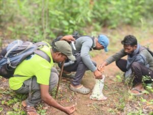 Chhattisgarh Crimes