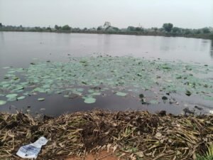 घरघोड़ा में विकास की राह में आखिर कौन बन रहा रोड़ा? तालाब की बदली तस्वीरों ने खड़े किए कई सवाल Chhattisgarh Crimes