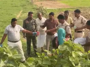 Chhattisgarh Crimes