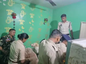 रायपुर में बढ़ती आपराधिक घटनाओं के बीच पुलिस ने रविवार को बड़ा सर्च और वेरिफिकेशन अभियान चलाया Chhattisgarh Crimes