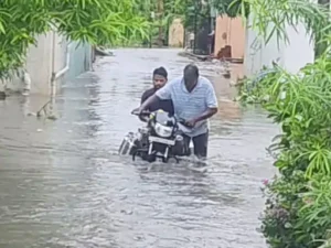 भिलाई नगर पालिक निगम की मानसून पूर्व तैयारियों के दावों की पहली ही तेज बारिश में पोल खुल गई Chhattisgarh Crimes