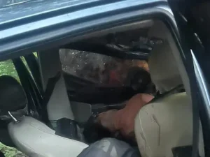 भिलाई के सेंट्रल एवेन्यू रोड पर गुरुवार तड़के हुए भीषण सड़क हादसे में दो युवकों की मौके पर ही मौत Chhattisgarh Crimes