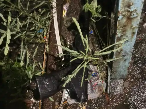 छत्तीसगढ़ के रायगढ़ में पिस्टलनुमा एयरगन से दहशत फैलाने का मामला सामने आया Chhattisgarh Crimes