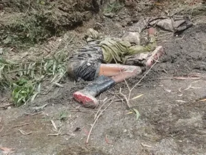 रामानुजगंज के ग्राम शिवपुर में रविवार सुबह एक नर हाथी के हमले में 69 वर्षीय ग्रामीण इन्द्रनाथ सिंह की मौत Chhattisgarh Crimes