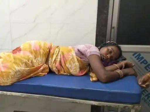 मरवाही वन परिक्षेत्र में भालू के हमले की दो अलग-अलग घटनाओं में 3 लोग घायल हो गए Chhattisgarh Crimes