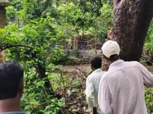 Chhattisgarh Crimes
