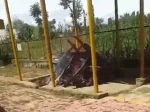 Chhattisgarh Crimes