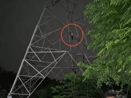 छत्तीसगढ़ के बिलासपुर में शनिवार रात भाई से विवाद के बाद युवक हाईटेंशन बिजली टावर पर चढ़ गया Chhattisgarh Crimes