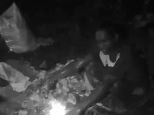छत्तीसगढ़ के रायगढ़ जिले में जंगल में मवेशी काटने का मामला सामने आया है Chhattisgarh Crimes
