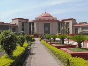 छत्तीसगढ़ हाईकोर्ट ने बिलासपुर नेशनल हाईवे पर चलती कार में सनरूफ से बाहर निकलकर युवतियों के स्टंटबाजी पर एसएसपी से एफिडेविट मांगा Chhattisgarh Crimes