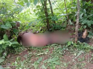Chhattisgarh Crimes