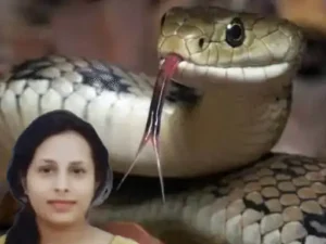 Chhattisgarh Crimes