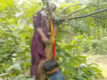 छत्तीसगढ़ के सरगुजा-सूरजपुर जिले की सीमा से लगे जंगल में पेड़ पर एक ही फंदे से युवक-युवती के शव मिले Chhattisgarh Crimes