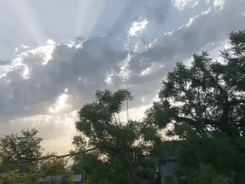 छत्तीसगढ़ में अब बारिश की एक्टिविटी बढ़ने वाली है। मौसम विभाग के मुताबिक, आज (10 सितंबर) से पूरे प्रदेश में बारिश बढ़ने के आसार हैं Chhattisgarh Crimes