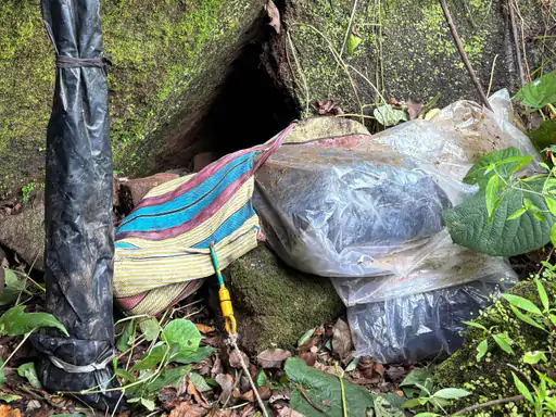 Chhattisgarh Crimes