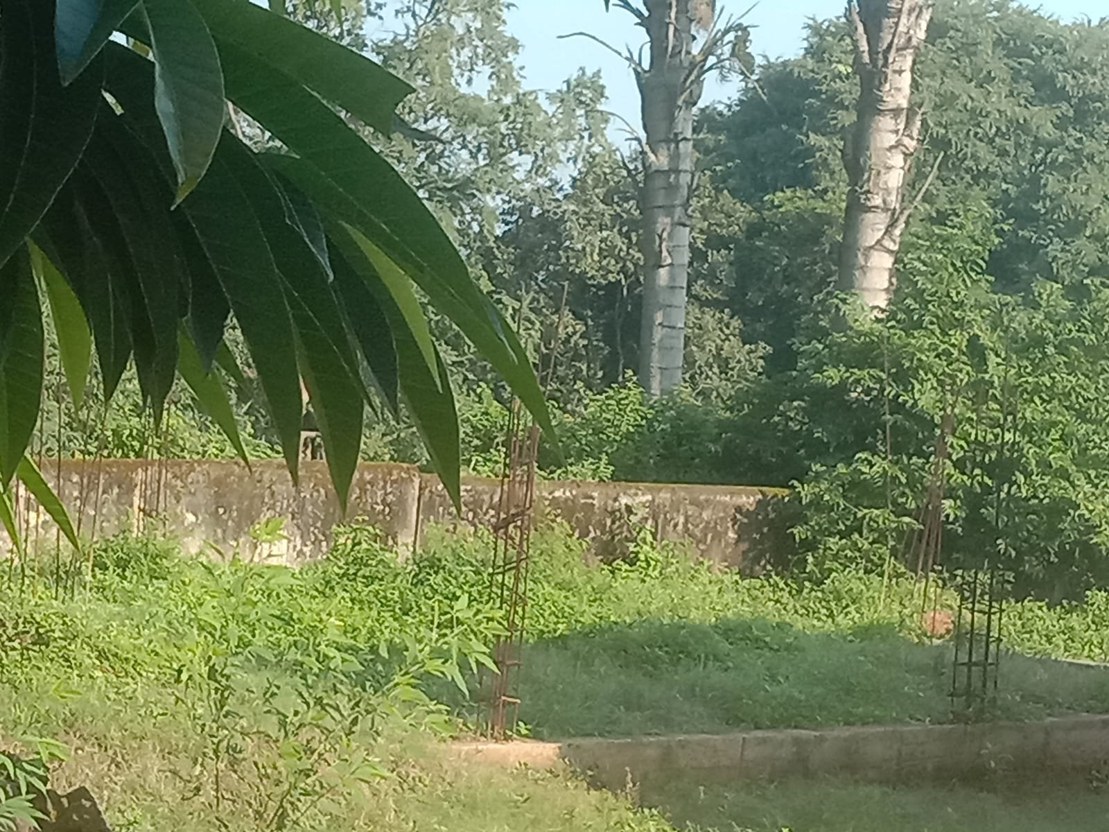 Chhattisgarh Crimes