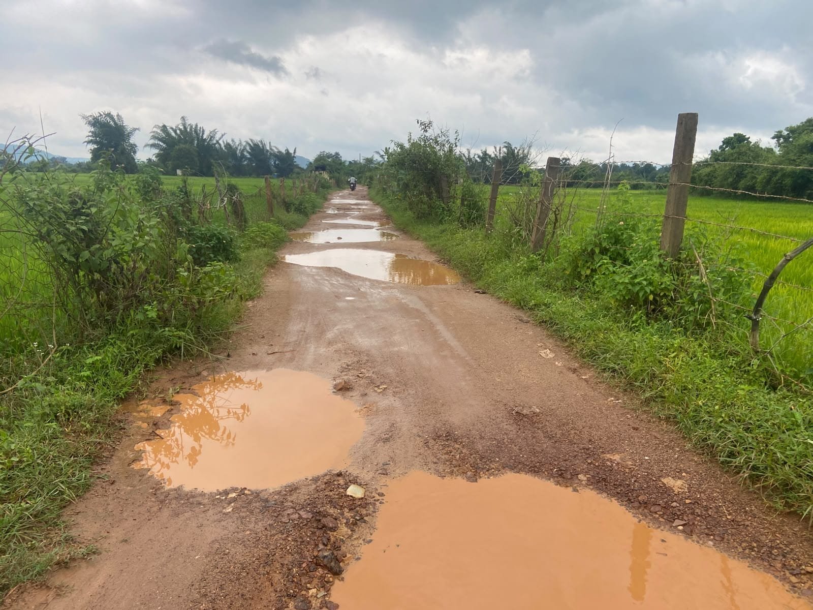 Chhattisgarh Crimes