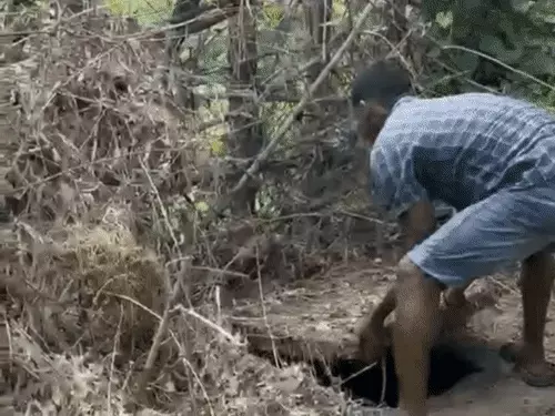 Chhattisgarh Crimes