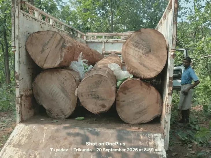 Chhattisgarh Crimes