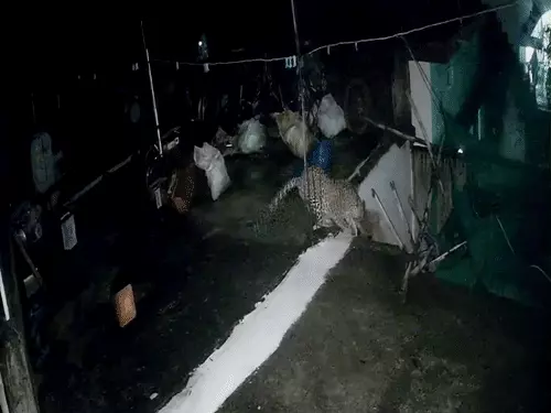 Chhattisgarh Crimes