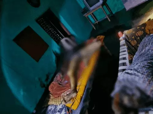 Chhattisgarh Crimes
