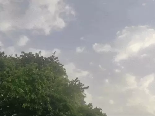 छत्तीसगढ़ में आज (शनिवार) कई जगह बारिश का दौर जारी रह सकता है Chhattisgarh Crimes