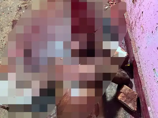 Chhattisgarh Crimes