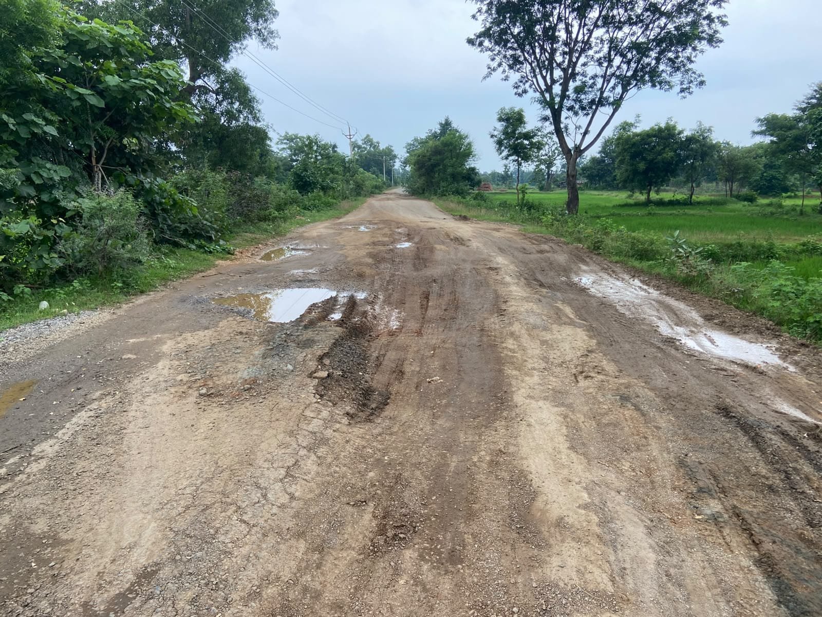 Chhattisgarh Crimes
