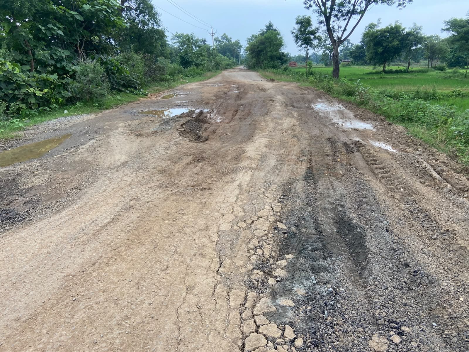 Chhattisgarh Crimes
