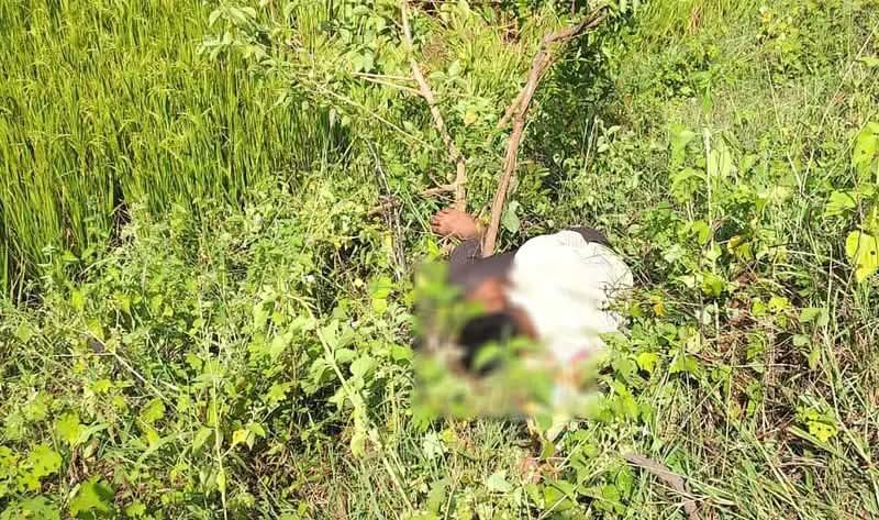 Chhattisgarh Crimes