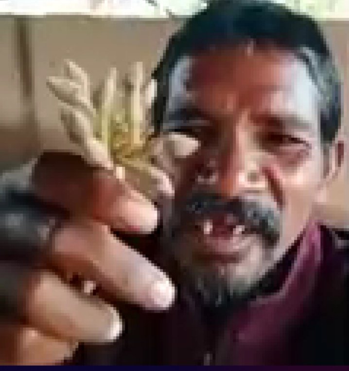 Chhattisgarh Crimes