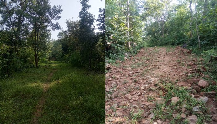 Chhattisgarh Crimes