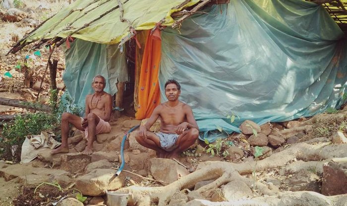 Chhattisgarh Crimes