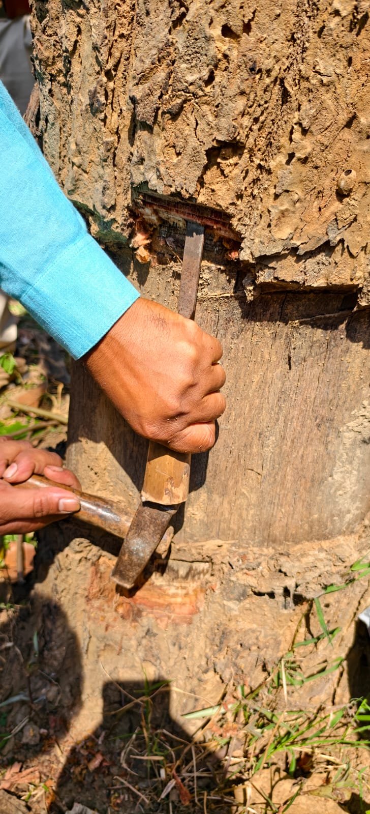 Chhattisgarh Crimes